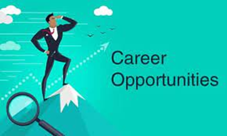 career as graphic designer